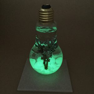オリジナルハーバリウム ハンドメイド 蓄光材 蓄光ペレット パーツ 蓄光素材 テラリウム 電球型