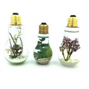 蓄光ペレット 通販 販売 ハーバリウム ハンドメイド 鉢植え パーツ 蓄光材 販売は株式会社丸上